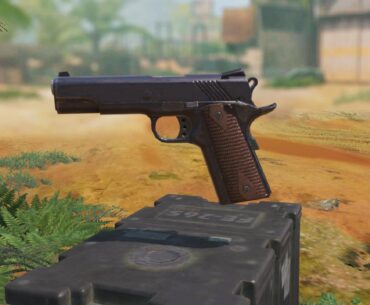 The only secondary in the game without a legendary blueprint