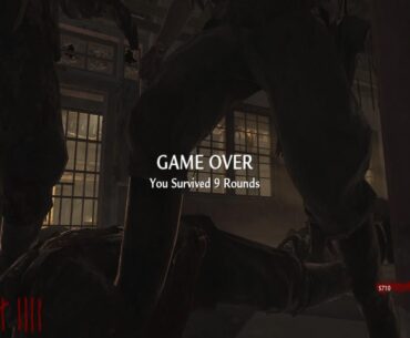 First time playing an COD Zombies game!