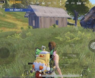 What is this?