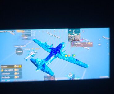bug
