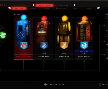 Since there is a BO4 Zombies resurgence in the sub right now I thought I’d ask. Jason Blundell said in an interview that he changed the Perk System in BO4 so everyone would use a different set every game. What 4 Perks do you run each game?