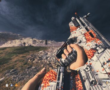 Got The Liberty Falls PaP Camo Early!!