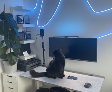 More plants to setup