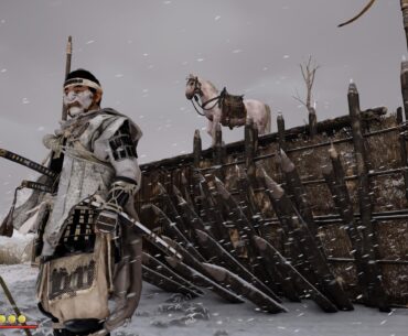 Japanese Roach (Ghost of Tsushima)