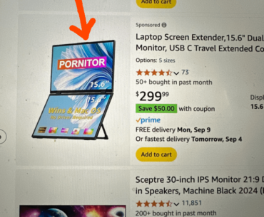Ah yes. The short way to say portable monitor