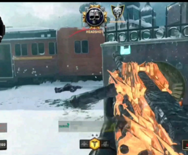 They just walked into my bullets