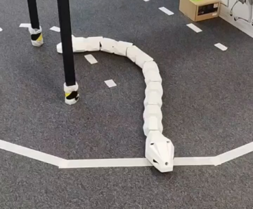 Robot snake