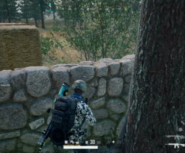 I will save you random team mate