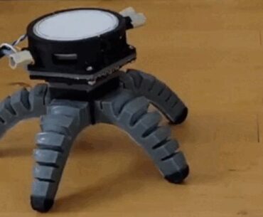Engineers Gave a Mushroom a Robot Body And Let It Run Wild : ScienceAlert