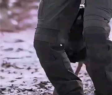 "Watch out, Canine on the loose!"