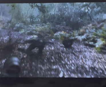 Didn’t know they had Omnimovement in LotR RoP