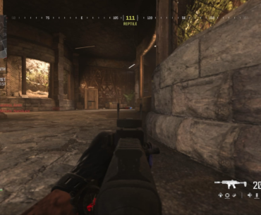 How to stop fps drops and lag ( new player sorry )