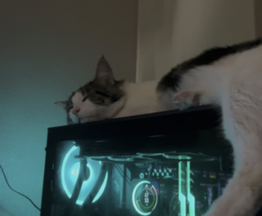 My pc turned off my car send help