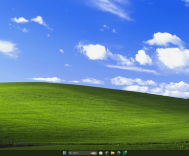 Guys, i think i like this