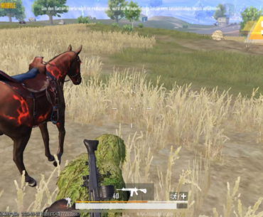 My poor horse…