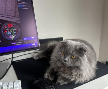 I guess I just can’t play games anymore.
