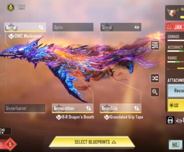 Dragon Fire Ammo or Extended Mag?