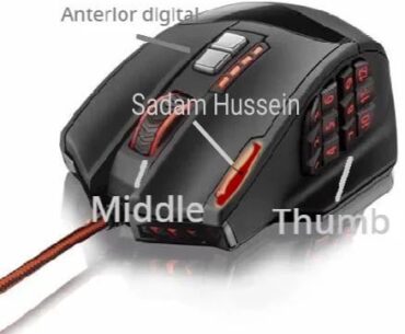 Tittel