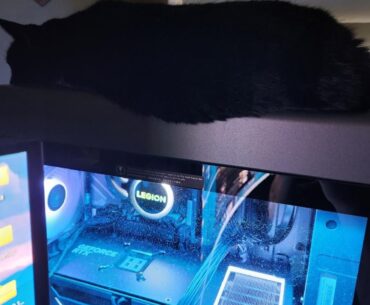 He loves the 700+ watts of heat