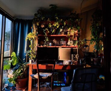 My old sunroom bedroom battlestation 🪴🌿