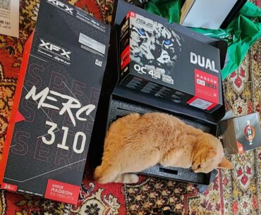 I guess my cat approves of my dad's new graphics card!