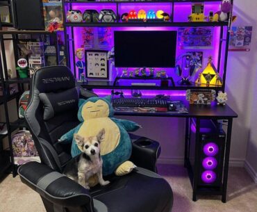 I'm not sure who's more excited about this new gaming chair, me or my dog. Maybe it's the Snorlax plush?