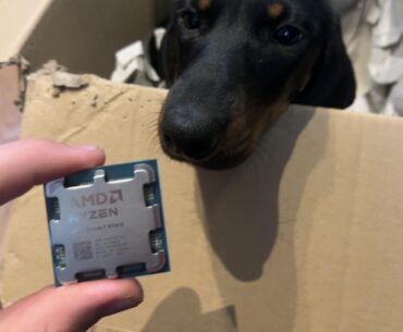 Where is the CPU socket