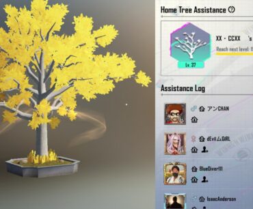 What's the highest level home tree could be