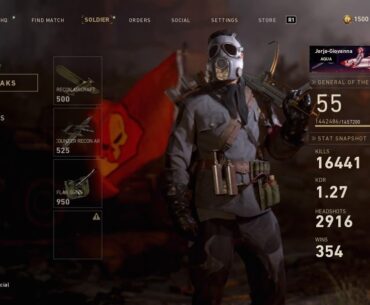 My stats after unlocking Chrome camo