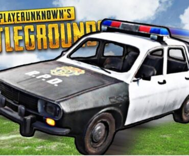 Who have this RPD Dacia skin..