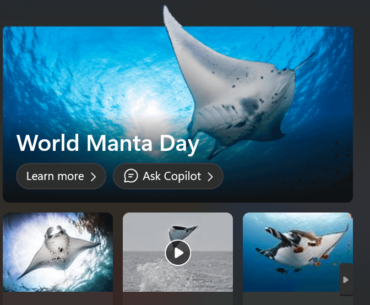 uh oh is that why we have legendry manta ray back in the store