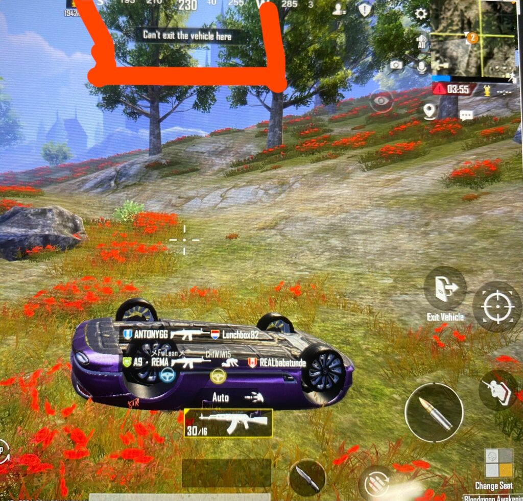 Unable to exit vehicle