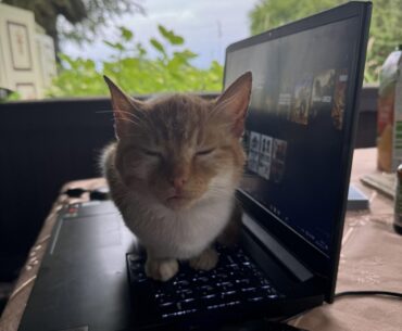 Car running my laptop