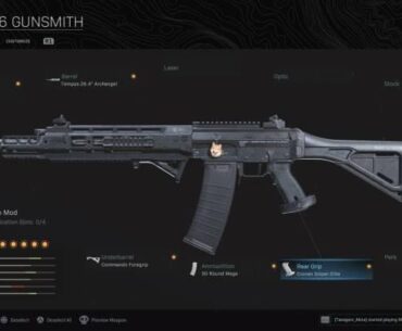 Grau 5.56 similar recoil on wz3 guns
