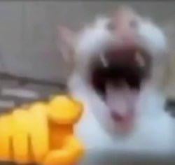 Xbox/console players rn