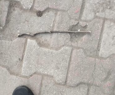 Found an M24 on da streets! Someone took the ammo though 😭