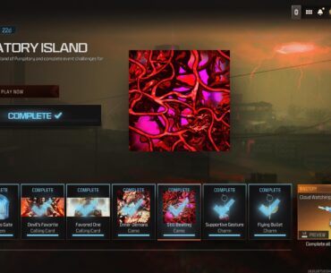 Still Beating Camo Challenge