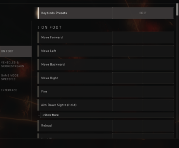 Every day this glitch happens (bo4 pc)