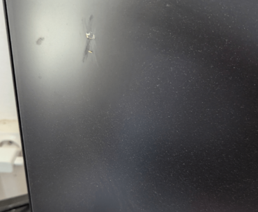 A bird flew into my house and popped on my monitor how was your day?