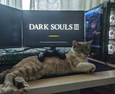 Check out my cat Jabroni chillin' on my controller rest, it's a sweet touch to my setup, right?