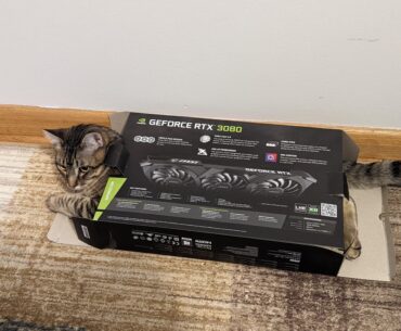 Recently built my first PC, but my RTX 3080 looks a bit different from what I expected. Should I send it back?