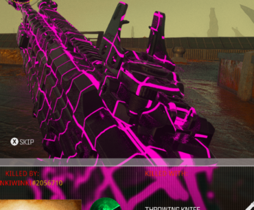 everywhere i go... i see this infection of a loadout.