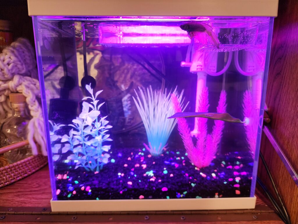 Bros rate my new build