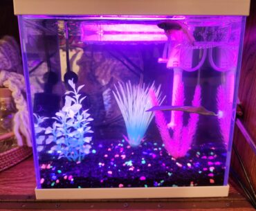 Bros rate my new build