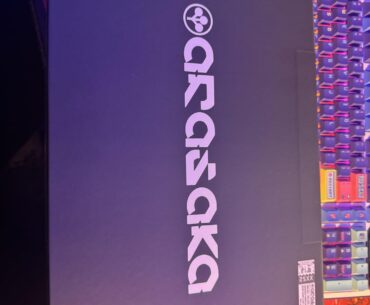 Arasaka delivered!