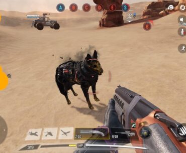 Well, someone’s dog was lost