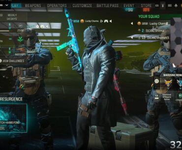 What are these low level teammates in most streamers team for?