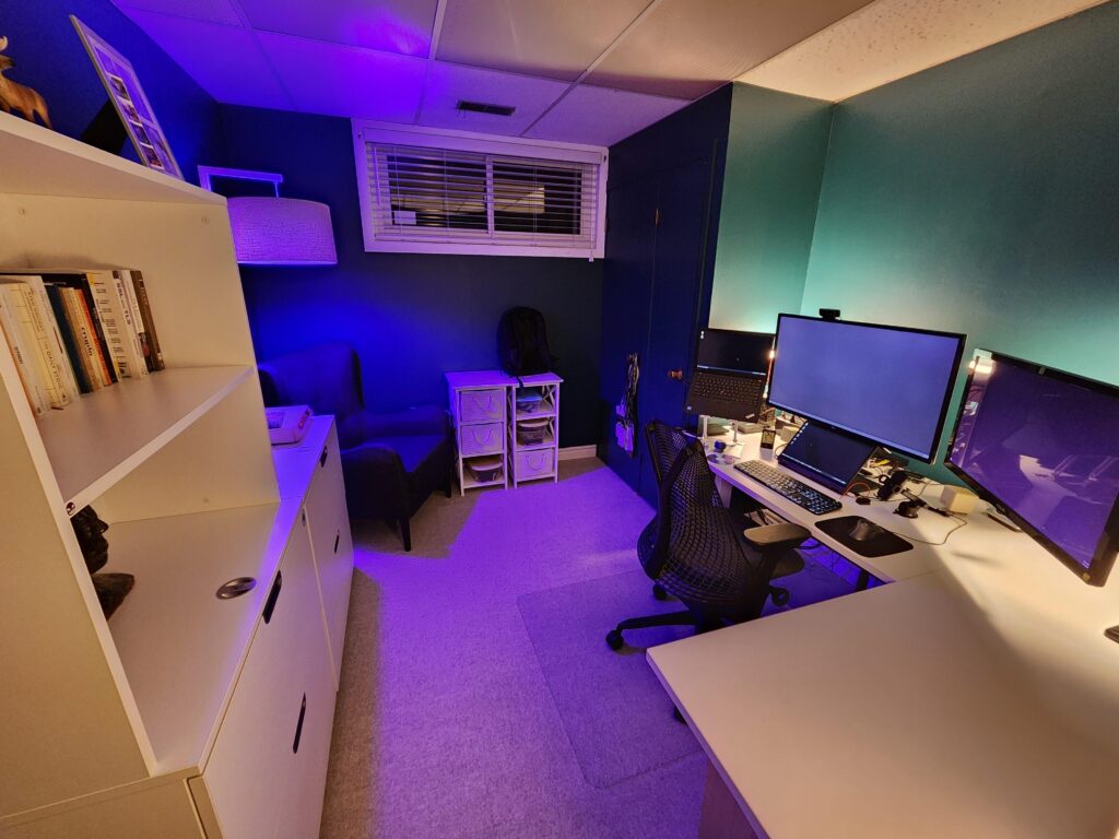 WFH basement battlestation