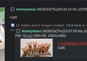 Meanwhile on 4chan