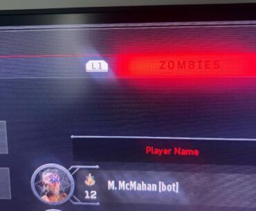 Bots on bo4 zombies can level up, I just noticed this